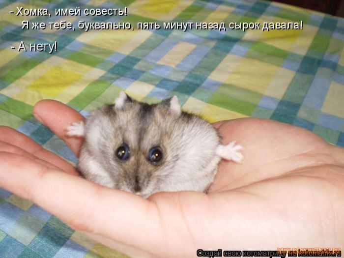 VFL.RU -  
