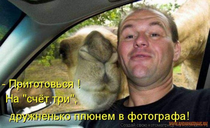 VFL.RU -  