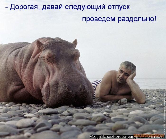 VFL.RU -  
