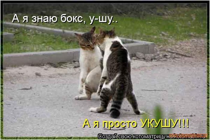 VFL.RU -  