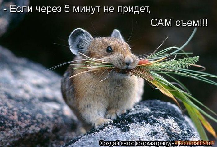 VFL.RU -  