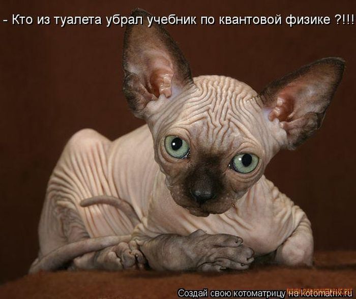 VFL.RU -  