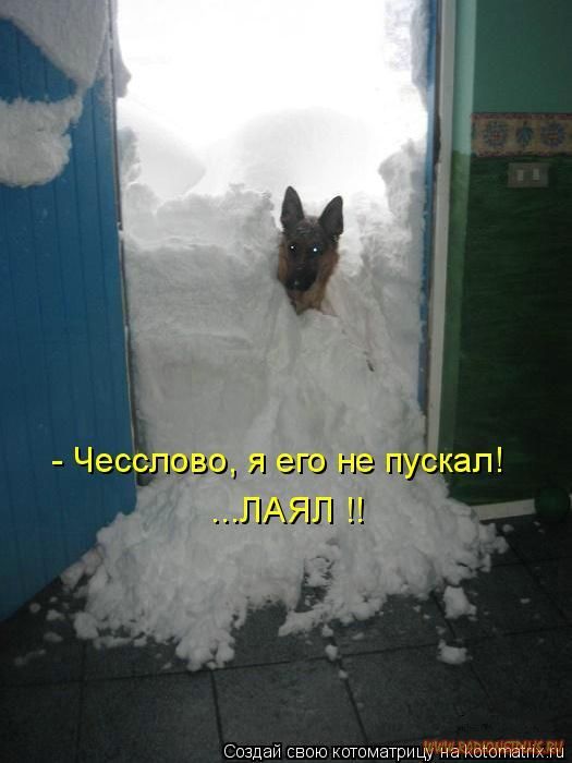 VFL.RU -  