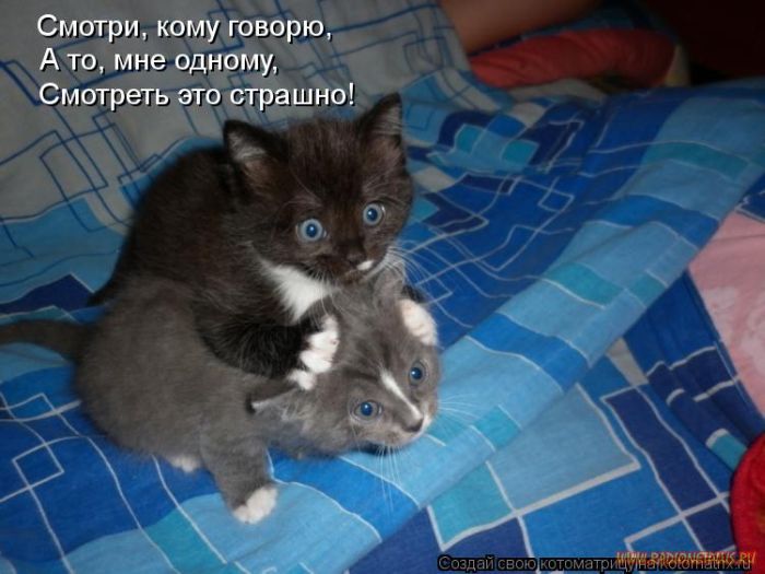 VFL.RU -  
