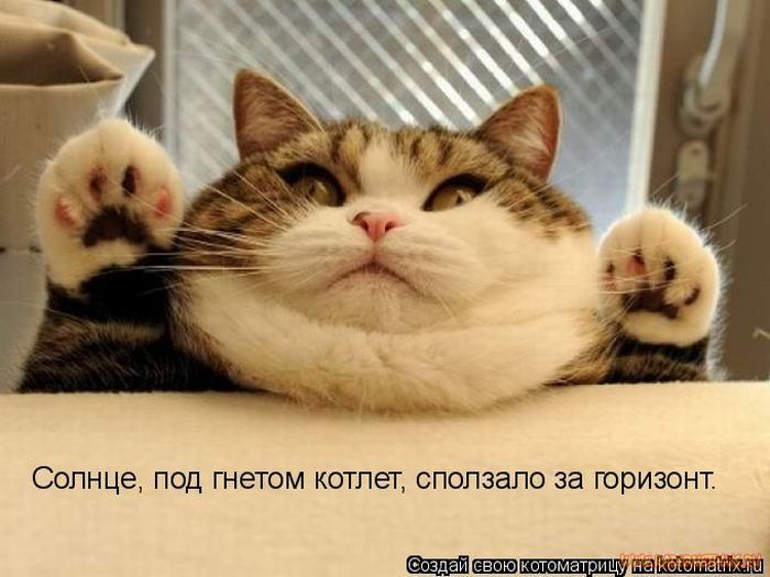VFL.RU -  