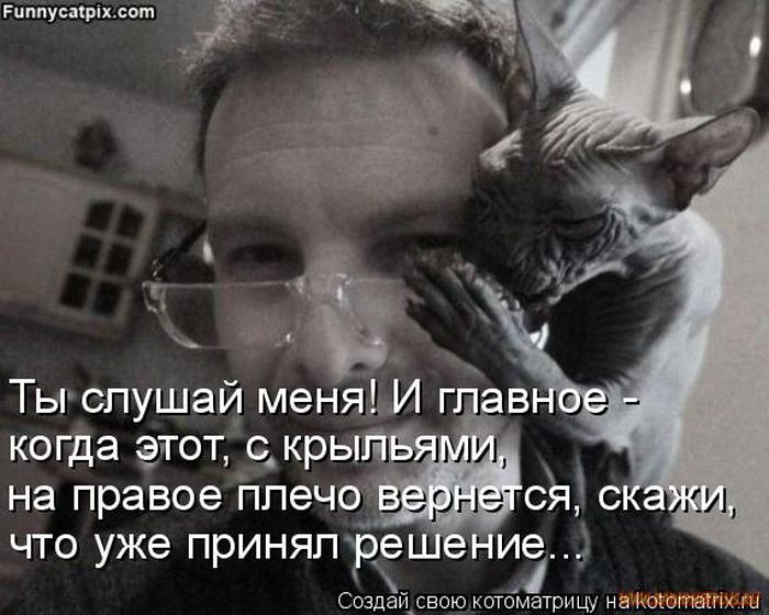 VFL.RU -  