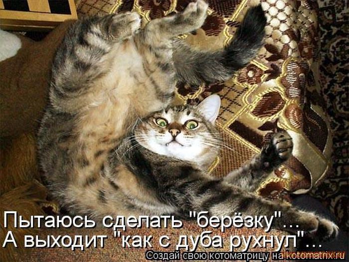 VFL.RU -  