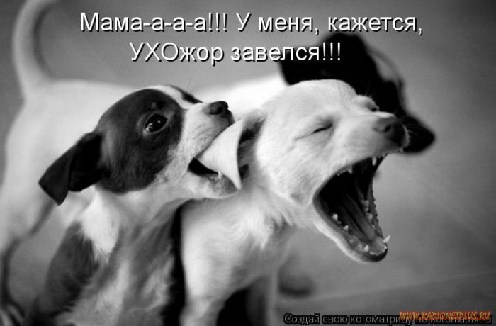 VFL.RU -  
