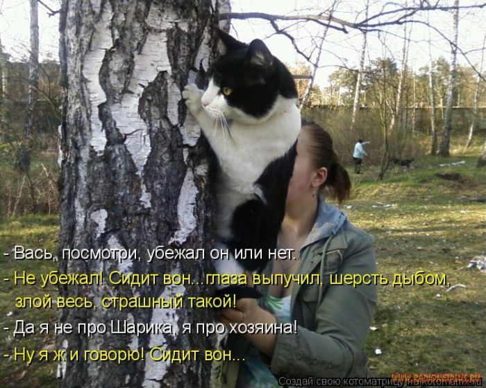 VFL.RU -  
