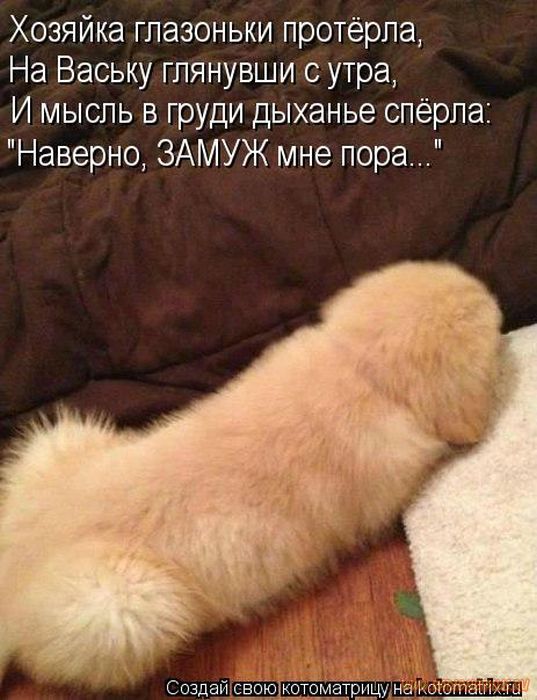 VFL.RU -  