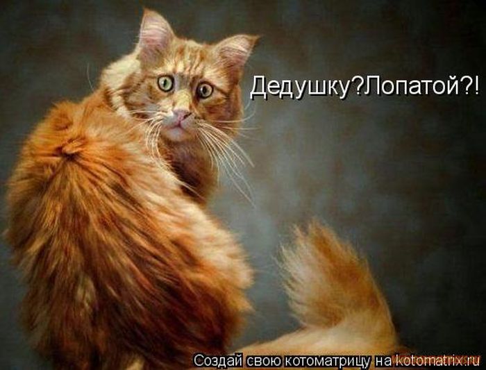 VFL.RU -  