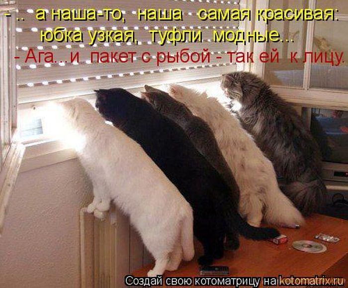 VFL.RU -  