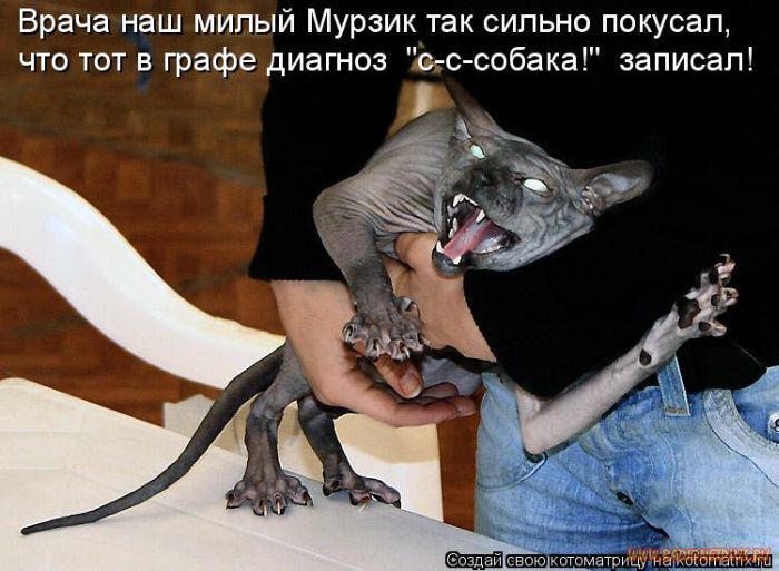 VFL.RU -  