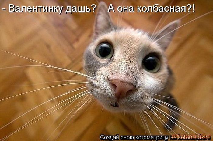 VFL.RU -  