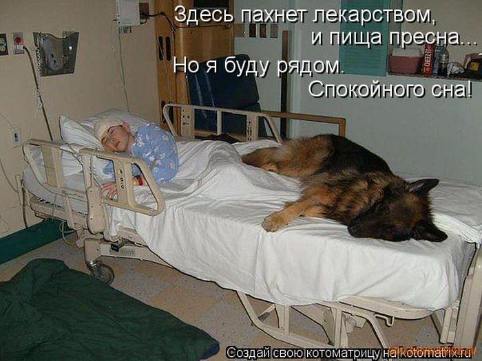 VFL.RU -  