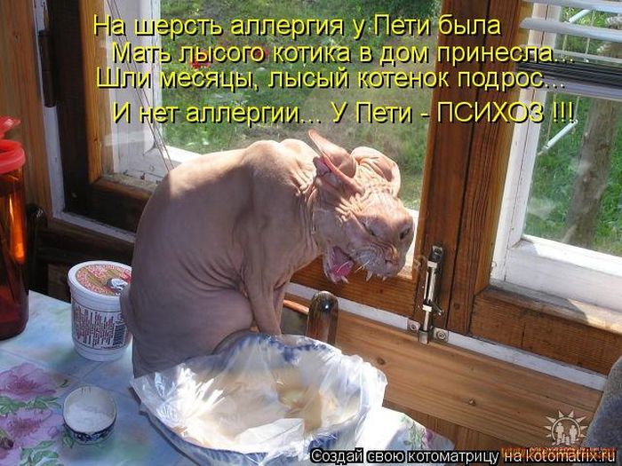 VFL.RU -  