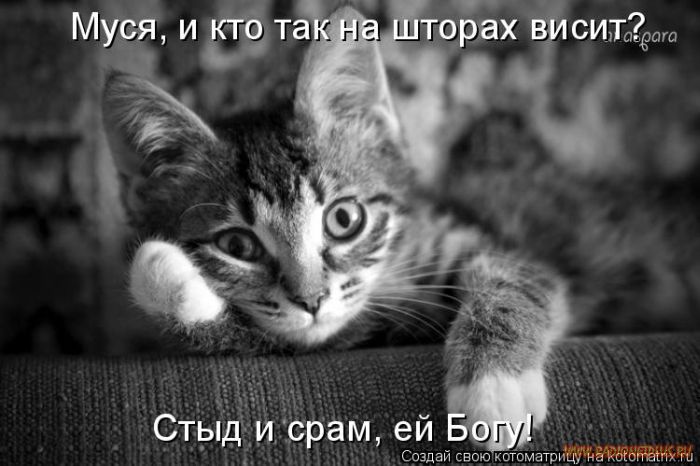 VFL.RU -  