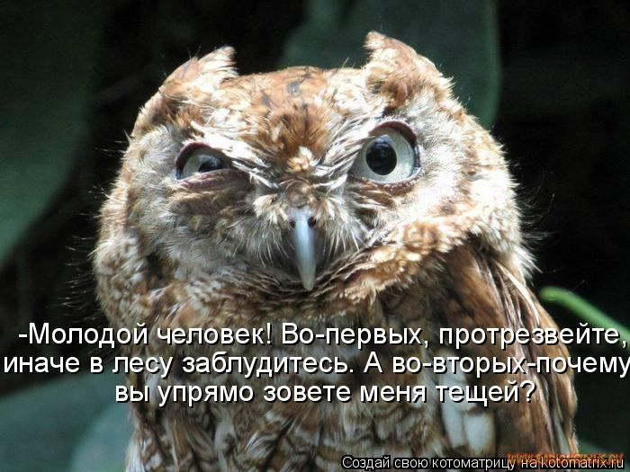 VFL.RU -  