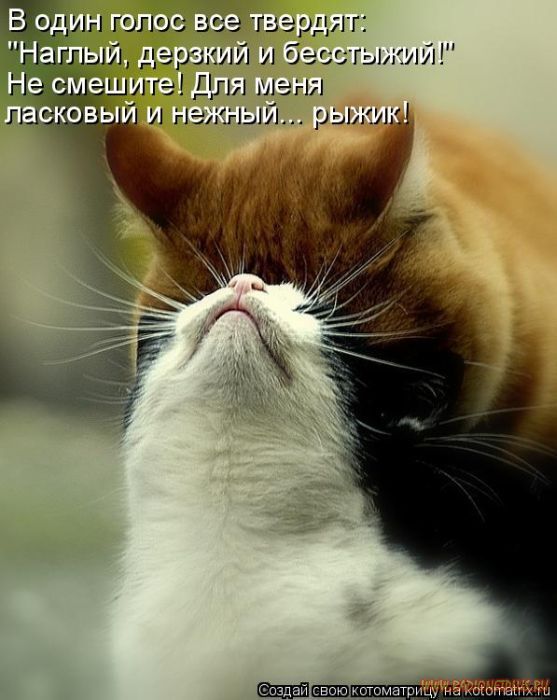 VFL.RU -  