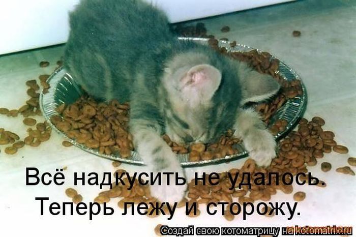 VFL.RU -  