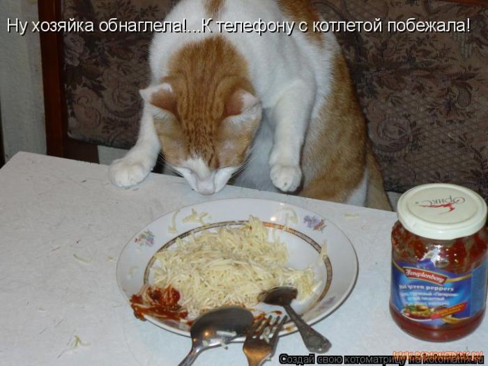 VFL.RU -  