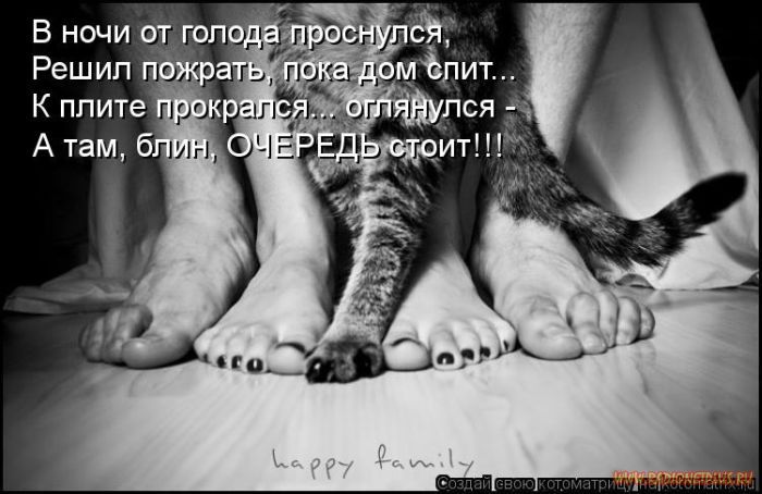 VFL.RU -  