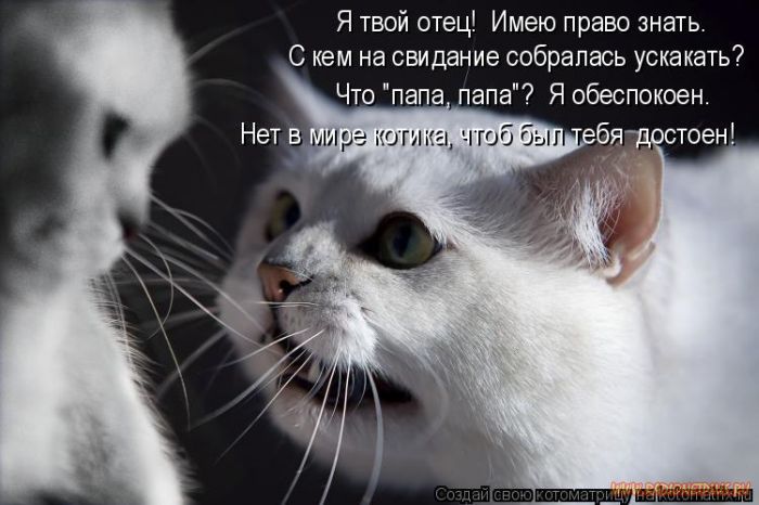VFL.RU -  