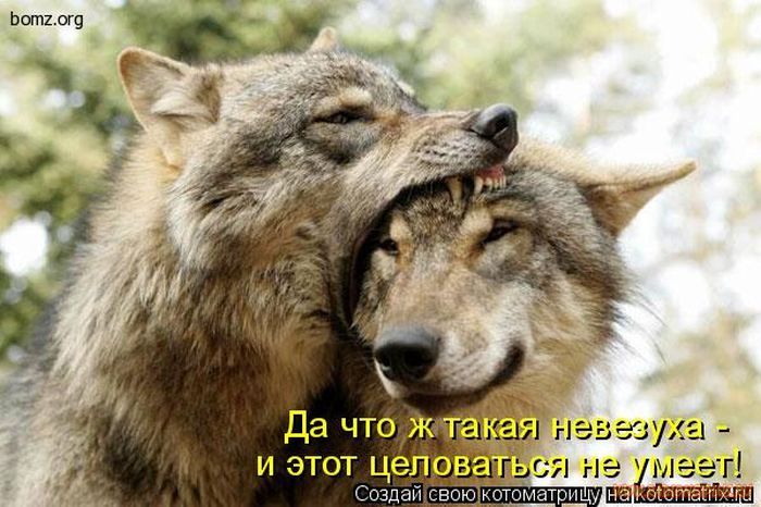 VFL.RU -  
