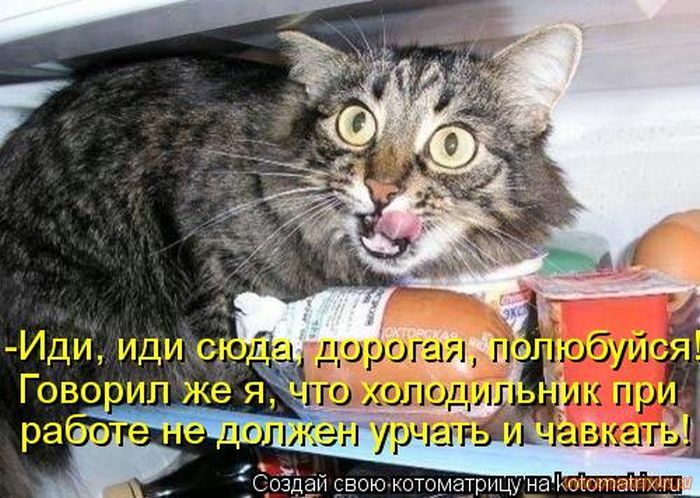 VFL.RU -  