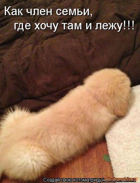 VFL.RU -  