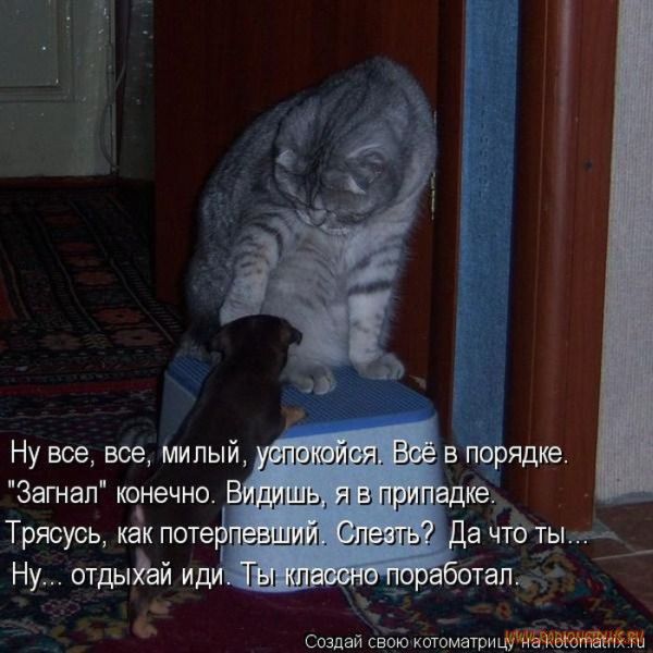 VFL.RU -  
