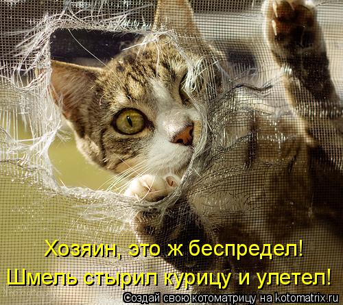 VFL.RU -  
