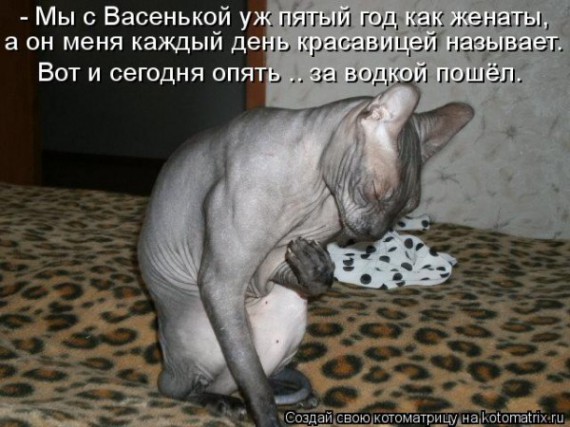 VFL.RU -  