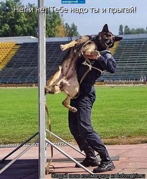VFL.RU -  