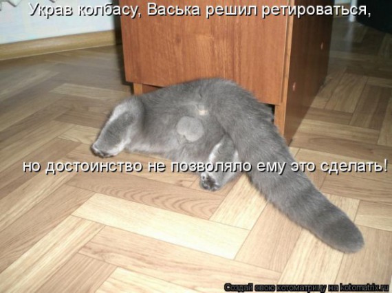 VFL.RU -  