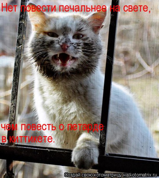 VFL.RU -  