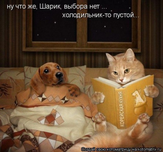 VFL.RU -  