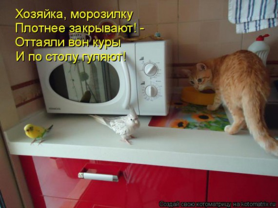 VFL.RU -  