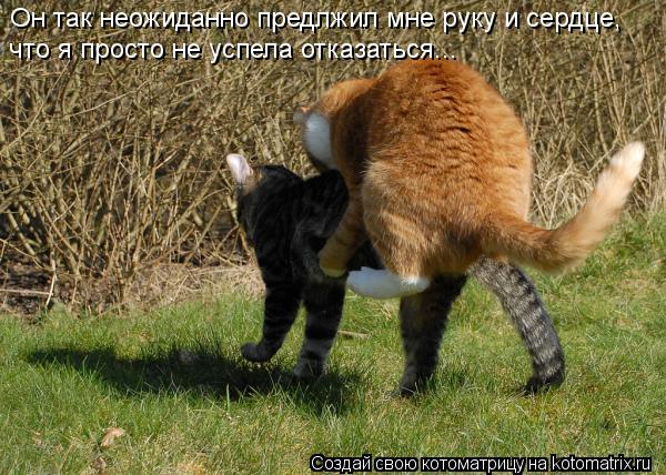 VFL.RU -  
