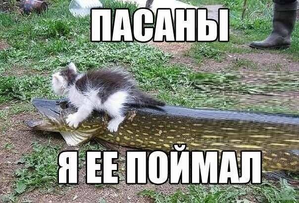 VFL.RU -  