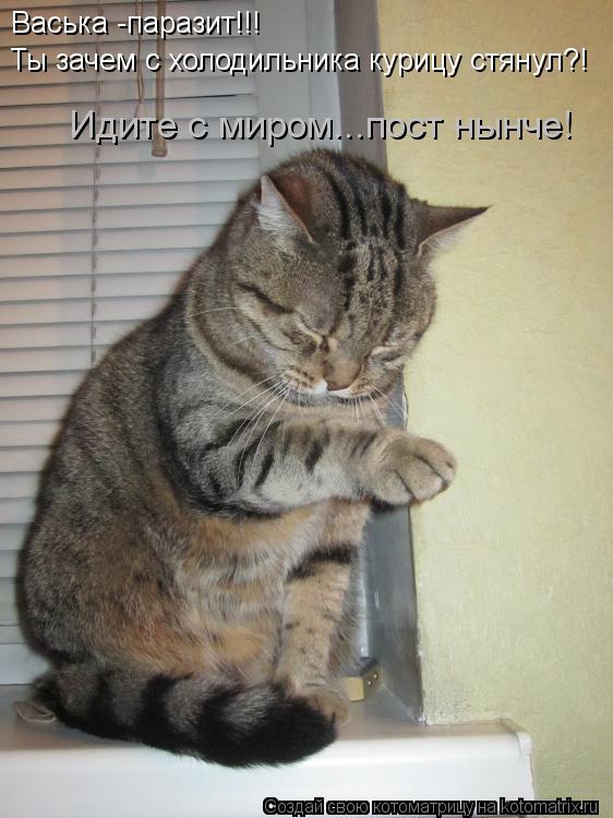 VFL.RU -  