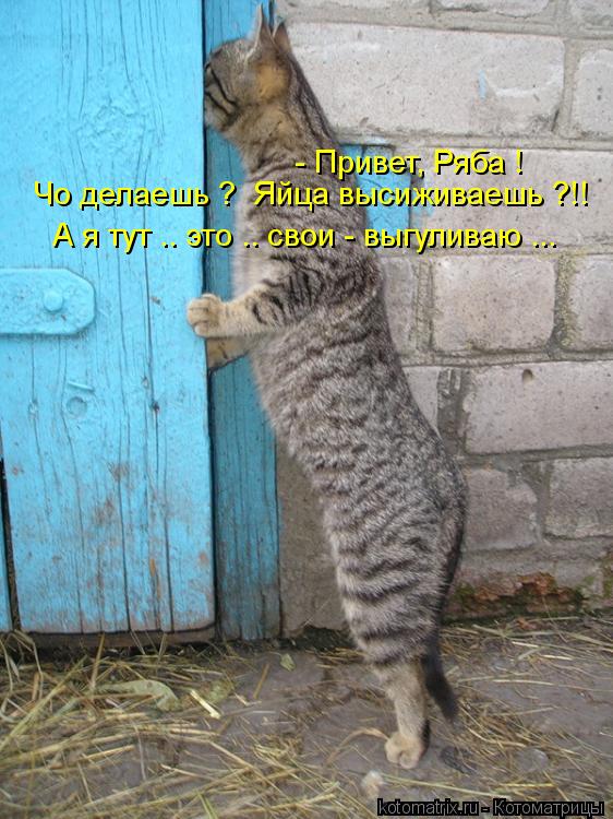 VFL.RU -  