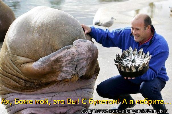 VFL.RU -  