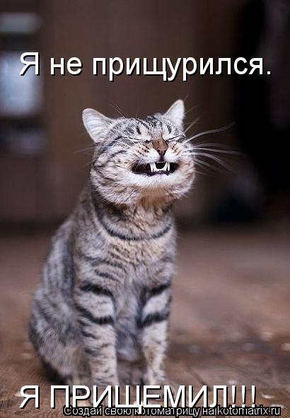 VFL.RU -  