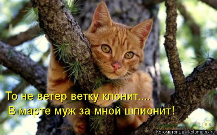 VFL.RU -  