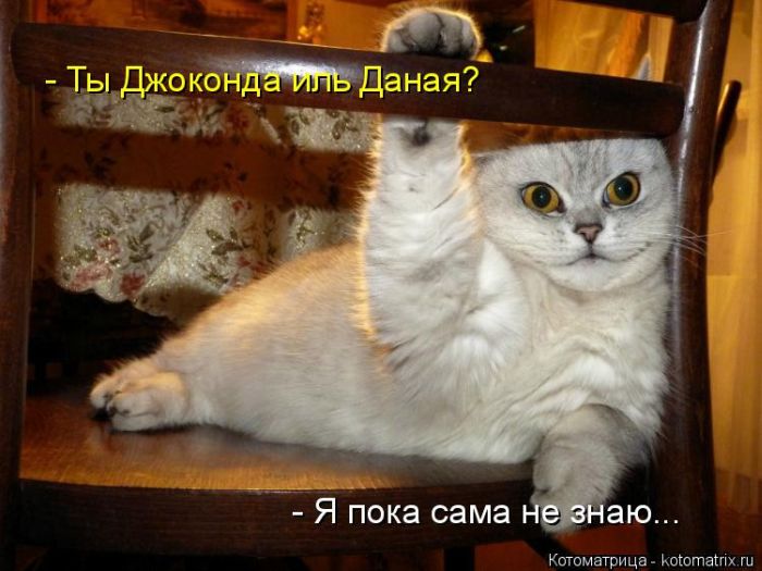 VFL.RU -  