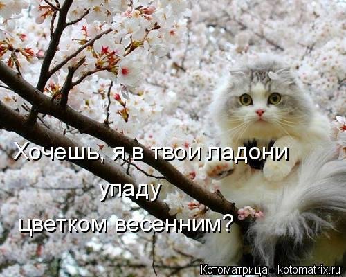 VFL.RU -  
