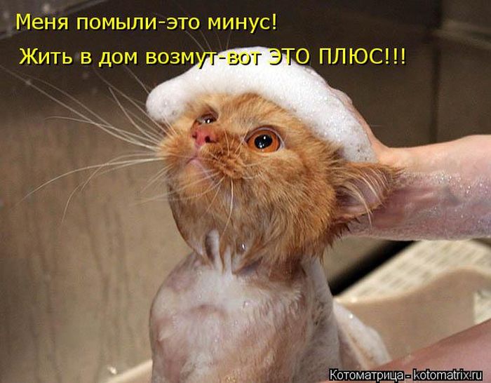 VFL.RU -  