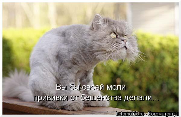 VFL.RU -  
