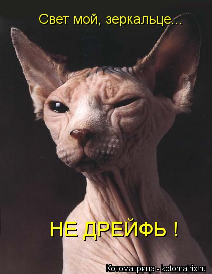 VFL.RU -  